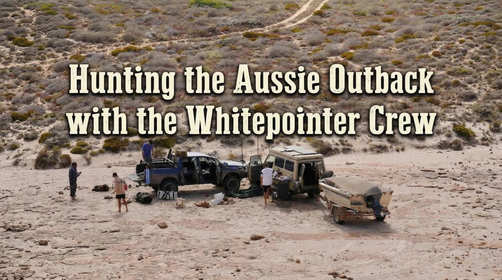 Hunting the Aussie Outback with the Whitepointer Crew